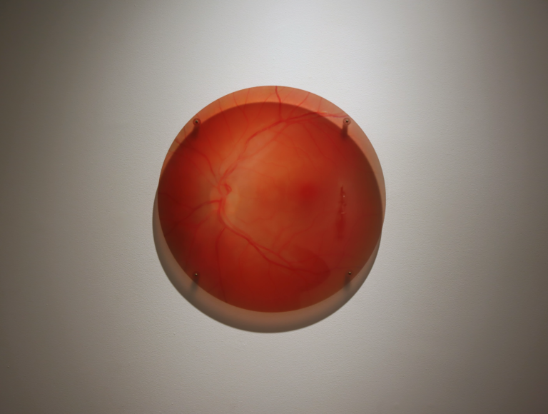 241007_photos_officielles_joanie_simard_mb3