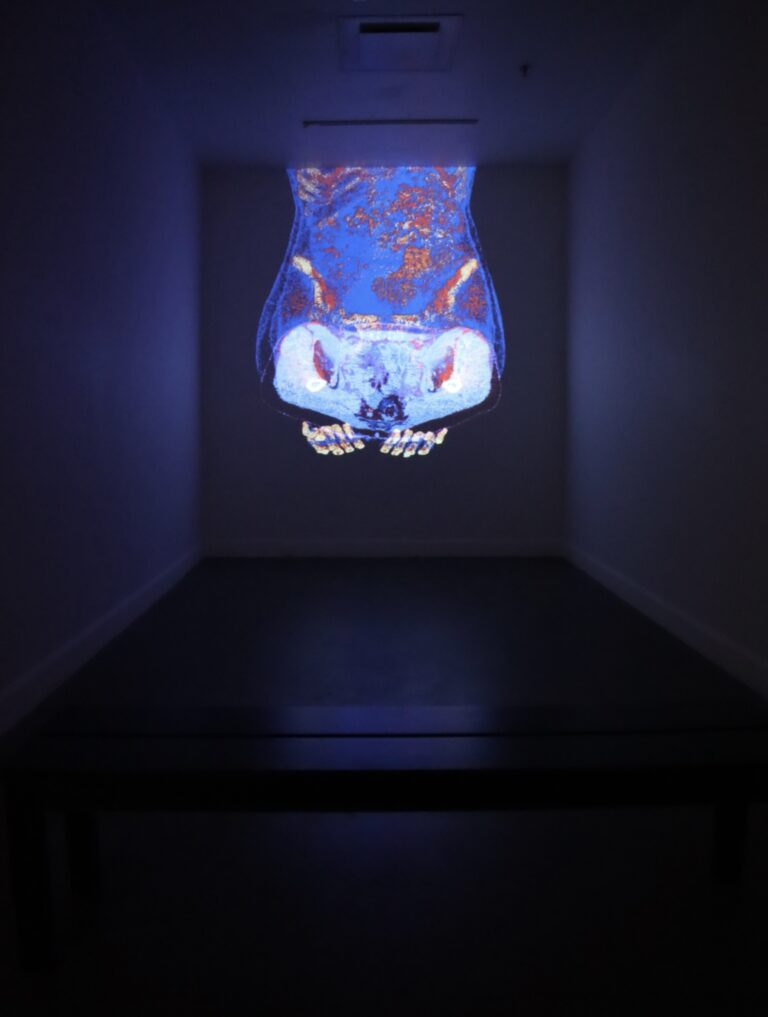 241001_photos_joanie_simard_expo02